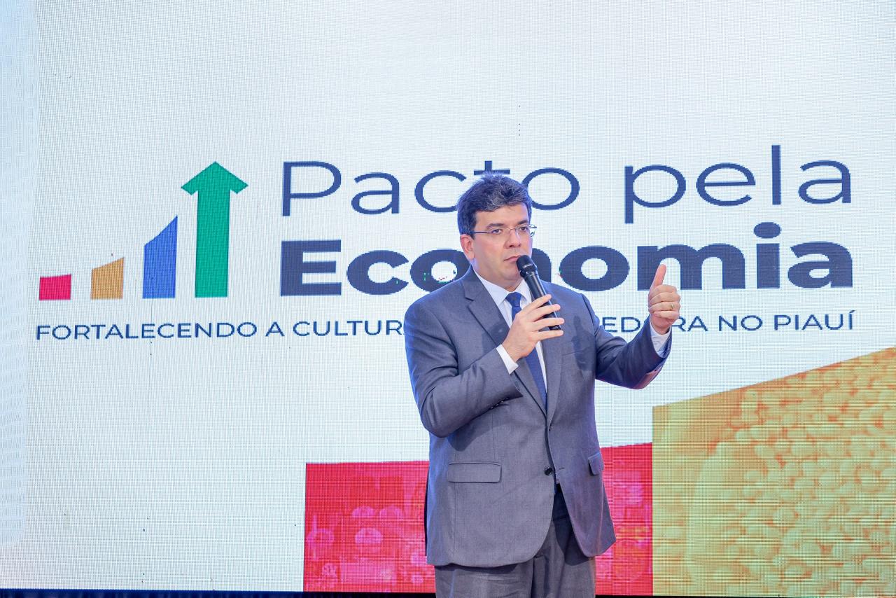 Pacto pela Economia avança com estruturação do Censo Econômico Municipal do Piauí