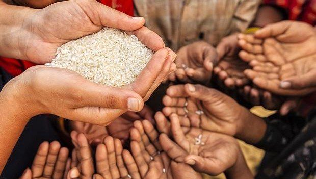 Piauí registra avanço histórico na segurança alimentar: fome cai 24 pontos percentuais em 19 anos