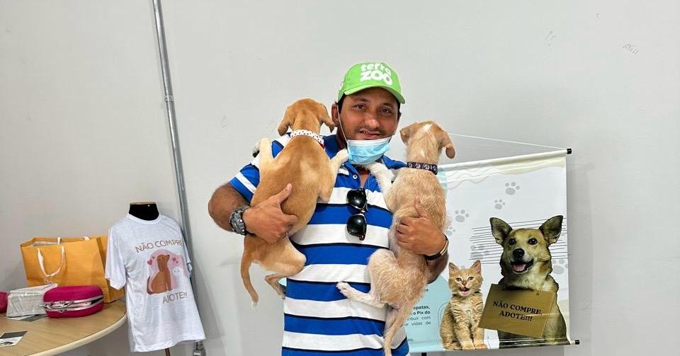 AuMigo Servidor: Evento para adoção de animais busca conscientizar população