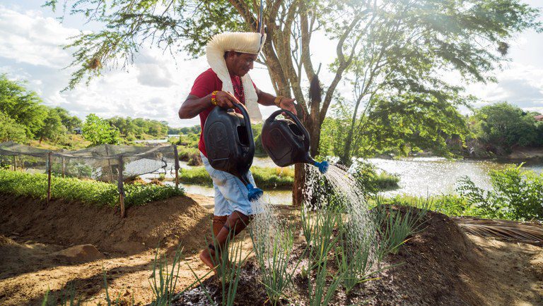 Senado aprova empréstimo de US$ 50 milhões para impulsionar desenvolvimento rural no Piauí