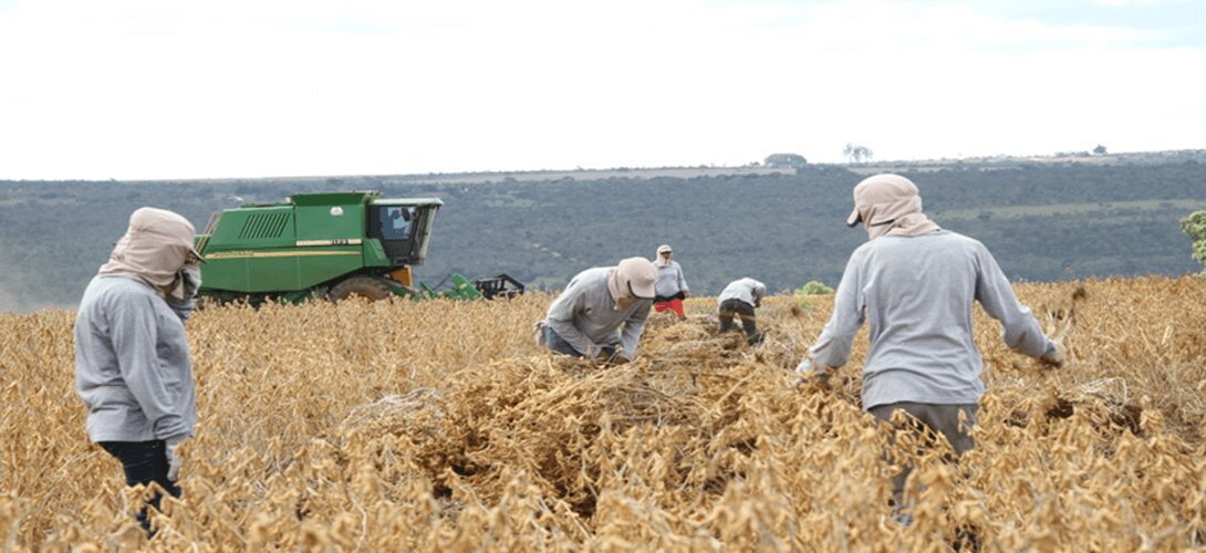 Principais notícias econômicas do Brasil e Piauí: 25/11 a 29/11