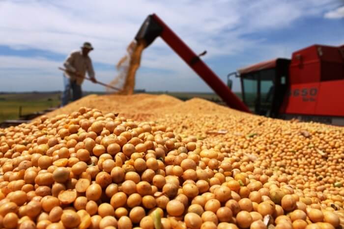 Agropecuária do Piauí registra maior crescimento de empregos formais nos últimos anos, aponta estudo da Cepro